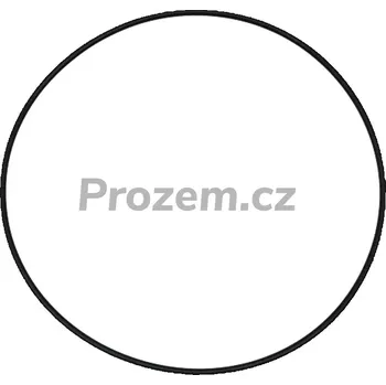 Těsnící kroužek pro Case IH, New Holland, Steyr, 310824A1, 340410A1