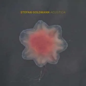 Zahraniční hudba CD Stefan Goldmann: Acustica 2024
