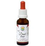 Salvia Paradise Dračí krev