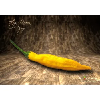 Semeno chilli-semena chilli papričky Aji Lemon Drop 10 ks