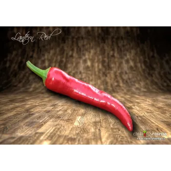Semeno chilli-semena Lantern Red
