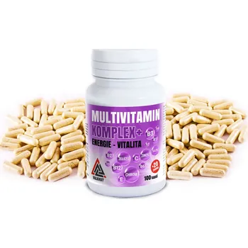 Multivitamin komplex+ VALKNUT 100+20 kapslí zdarma