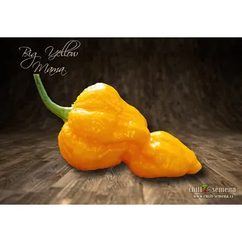 Semeno chilli-semena Big Yellow Mama