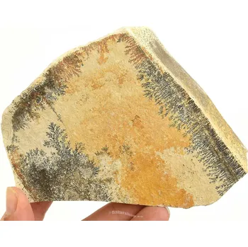 Přírodní kámen Vápenec s dendrity (Solnhofen) 426g