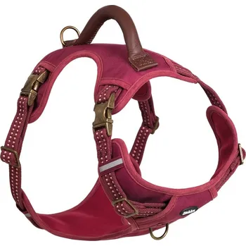 Postroj pro psa Nobby postroj SPORTY S-M červená