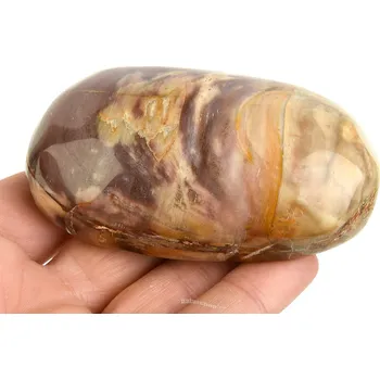 Přírodní kámen Hladký kámen zkamenělé dřevo (Madagaskar) 175g