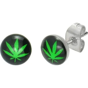 Náušnice Dámské náušnice ocel GLEB004