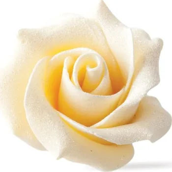 Čokoládové růže na dort 45 x 30 mm 15 ks perleťově bílé Jedlá dekorace na dort Čokoládové růže na dort 45 x 30 mm 15 ks perleťově bílé