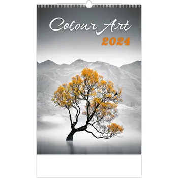 Kalendář Helma365 Nástěnný kalendář Colour Art 2024