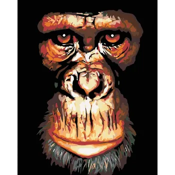 Hračka Diamondi Diamantové malování - ŠIMPANZ Rozměr: 40x50 cm, Rámování: bez rámu a bez vypnutí plátna