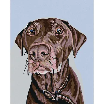 Diamondi Diamantové malování - HNĚDÝ PES S HNĚDÝM OBOJKEM Rozměr: 40x50 cm, Rámování: bez rámu a bez vypnutí plátna