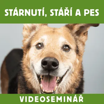DVD film Dokonalá Láska VIDEOSEMINÁŘ – STÁRNUTÍ, STÁŘÍ A PES