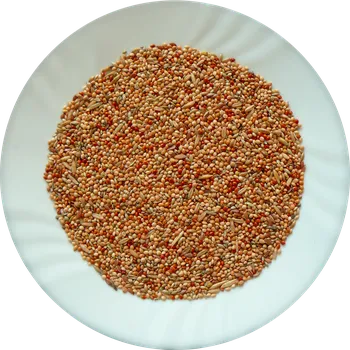 Krmivo pro ptáka Avicentra s.r.o. Classic menu andulka 5 kg