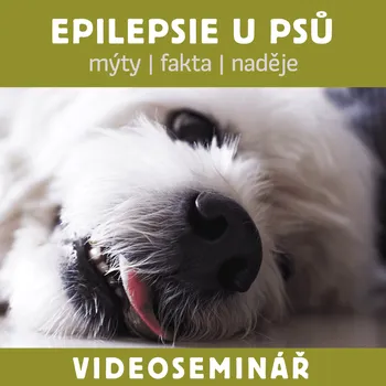 DVD film Dokonalá Láska VIDEOSEMINÁŘ – EPILEPSIE U PSA