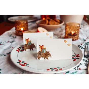 Jmenovka na stůl ePiPí Jmenovky na stůl - Vánoční pásovec