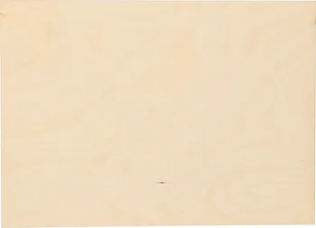 Překližka ČistéDřevo Březová překližka B/BB 3 x 300 x 200 mm