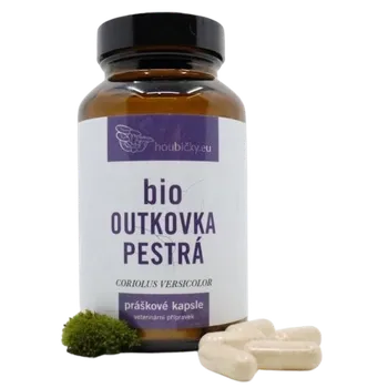 Přírodní produkt Tyroler Glückspilze Outkovka pestrá BIO 100 cps.