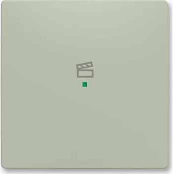 vypínač a zásuvka 6220T-A01003 243 Kryt 1násobný, symbol "scény", olivová, Zoni, ABB