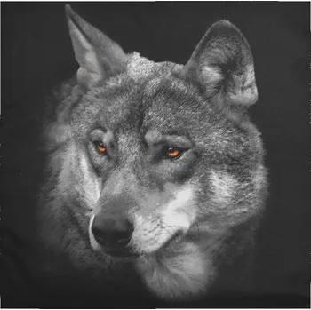 Povlak na dekorativní polštářek Apex® produktová řada 3D 3D povláček na polštářek Apex - Vlk - Povláček na polštářek