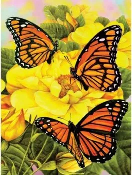 Motýlci na žlutých kytkách 22 x 30 cm