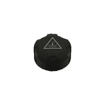 Motor automobilu Víčko chladící kapaliny MINI One;One (R56); | 1.6 | 1598ccm | Benzín | 72kW | EP6 |2007-2015| TAIWAN | 5901532861389