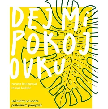 Kniha Dej mi pokojovku Ekniha