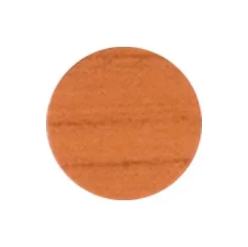 Vrut Krytka samolepicí 20mm 15ks - olše 277plr2