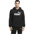 Pánská mikina PUMA Essentials Big Logo Hoodie Men 586688-01