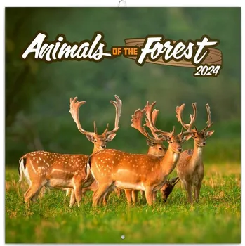 Kalendář Poznámkový kalendář Zvířátka z lesa 2024, 30 x 30 cm