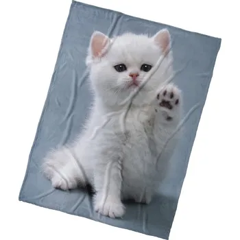 Dětská deka TipTrade Dětská deka Koťátko Dej Pac 150x200 cm modrá/zvířátko