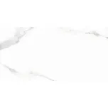 Obklad Livorno Gris, 250 × 500 mm, lesklý BAU2102