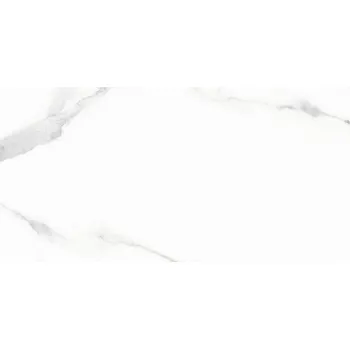 Obklad Obklad Livorno Gris, 250 × 500 mm, lesklý BAU2102