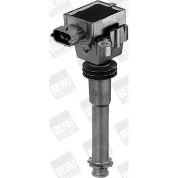 Zapalovací cívka Zapalovací cívka BorgWarner (BERU) ZS311