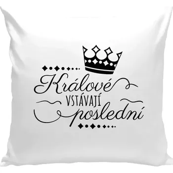 Polštář Polštář bílý 40x40 cm Králové vstávají poslední