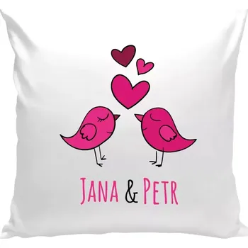 Polštář Polštář bílý 40x40 cm Ptáčci se jmény