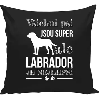 Polštář Polštář černý 40x40 cm Labrador je nejlepší
