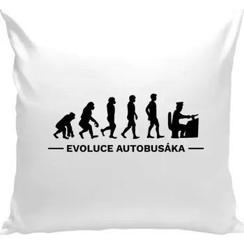 Polštář Polštář bílý 40x40 cm Evoluce - autobusák