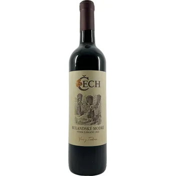 Víno Vinařství Čech, Rulandské modré, výběr z hroznů, 2021, 13,0%, 0,75 l, (holá láhev)