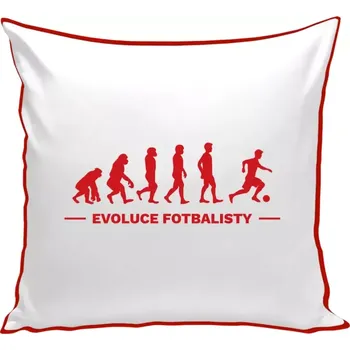 Polštář Polštář barevný 32x32 cm Evoluce - fotbalista