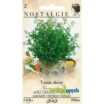 Semeno Tymián obecný 240 ks