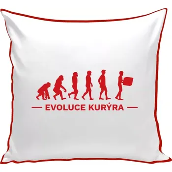 Polštář Polštář barevný 32x32 cm Evoluce - kurýr