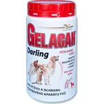 Orling Gelacan Darling