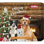 Nobby Xmas StarSnack adventní kalendář…