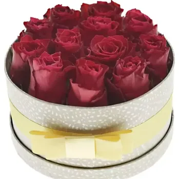 Dárková krabička Krabička růží RHODOS šampaň 18x8cm