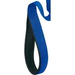 Ferplast Daytona GA 20 mm 2 m modré