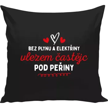 Polštář Polštář černý 40x40 cm Bez plynu a elektřiny, vlezem častějc pod peřiny