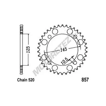 Řetězová sada pro motocykl Rozeta YAMAHA XV 250 S Virago rok 95-08
