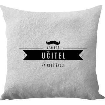 Polštář Polštář bílý 40x40 cm - dlouhý chlup Nejlepší učitel na celé škole