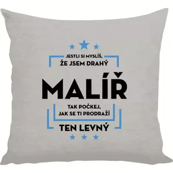 Polštář Polštář lněný 40x40 cm Jestli si myslíš , že jsem drahý - malíř