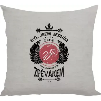 Polštář Polštář lněný 40x40 cm Byl jsem jedním z davu, ale pak jsem se stal zpěvákem
